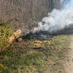 Bildergallerie anzeigen